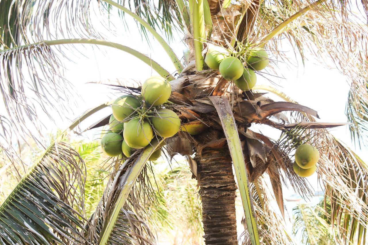 Eagles Beach Resort Phan Thiết Exteriér fotografie